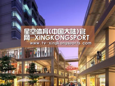案例展示一(图1)