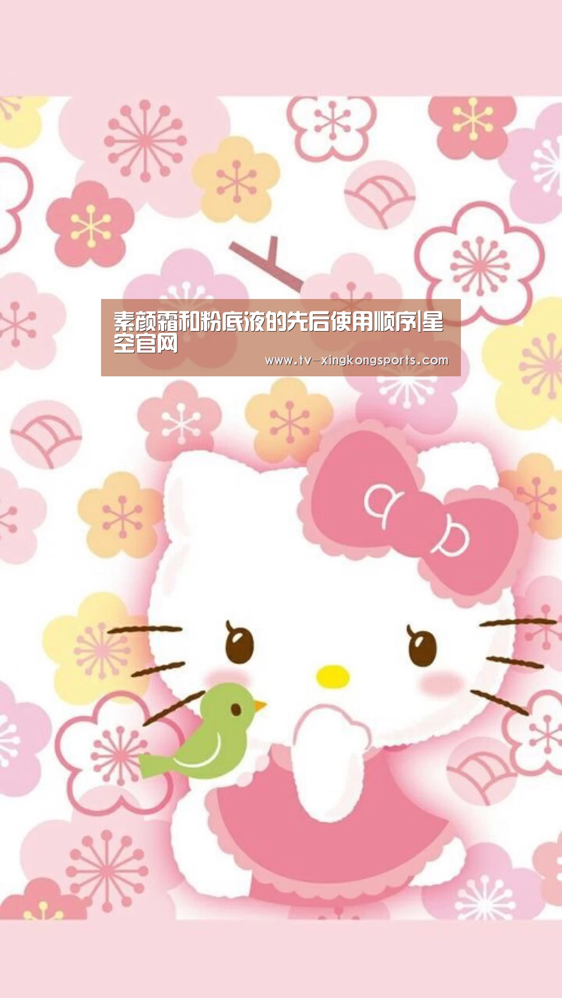 星空体育APP