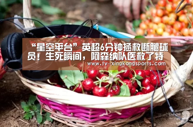 “星空平台”英超6分钟拯救断腿球员!生死瞬间,阿森纳队医救了特里的命(图1) 星空官网
