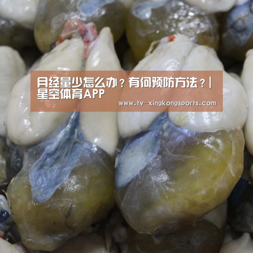星空体育APP