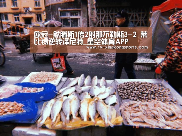星空体育APP