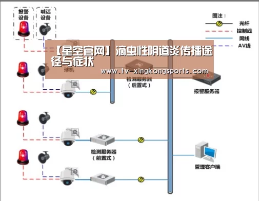 【星空官网】滴虫性阴道炎传播途径与症状(图1) 星空平台