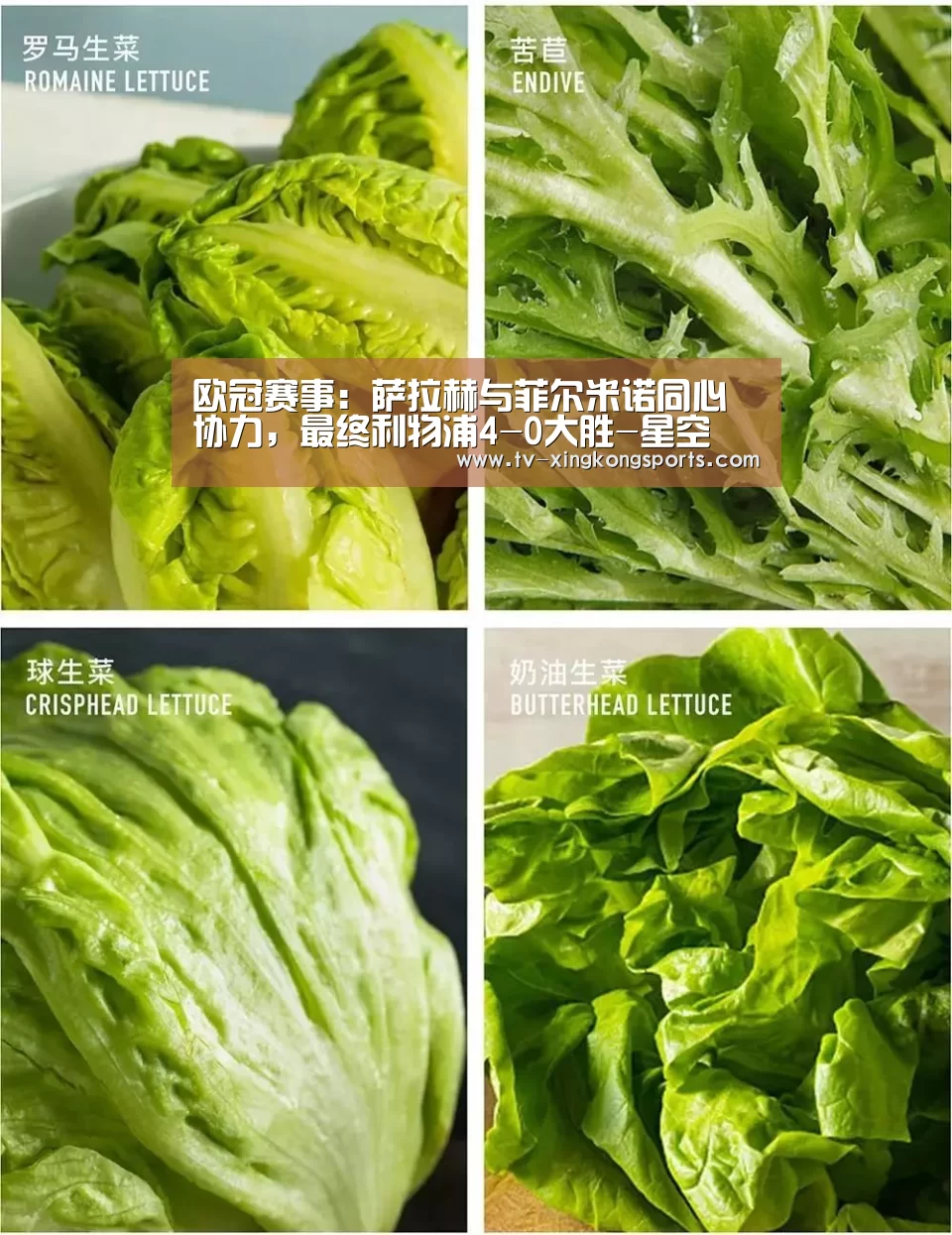 欧冠赛事:萨拉赫与菲尔米诺同心协力,最终利物浦4-0大胜-星空(图3) 星空官网